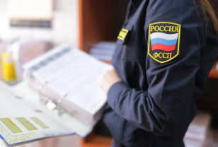 Электронные сервисы помогут разобраться с долгами 