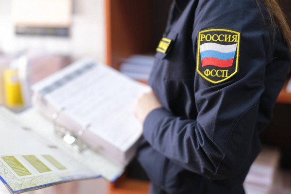 Электронные сервисы помогут разобраться с долгами 