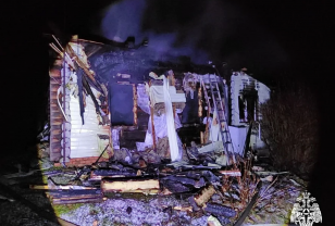 В Тёмкинском округе спасатели тушили пожар в дачном доме