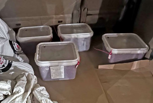 В Смоленской области предотвращён нелегальный экспорт морепродуктов