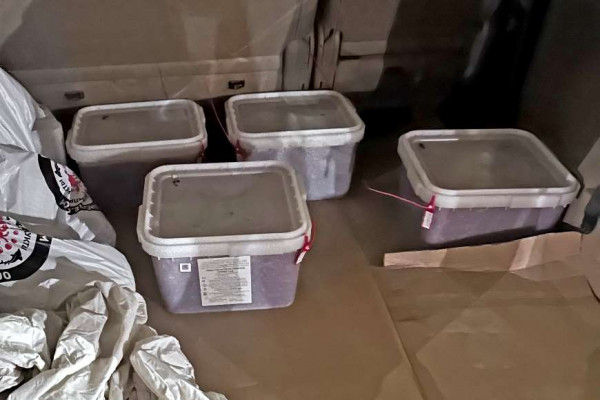 В Смоленской области предотвращён нелегальный экспорт морепродуктов