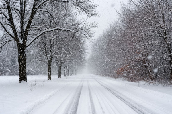 Синоптики предупредили жителей Смоленской области о непогоде