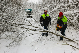 Энергетики «Смоленскэнерго» устраняют последствия сильного снегопада 