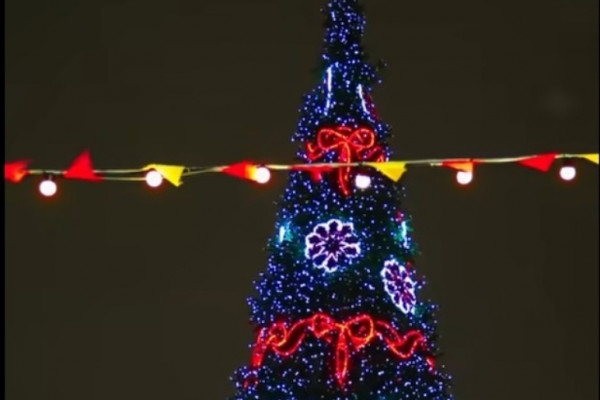 Голосование за лучшую ёлку Смоленщины продолжается