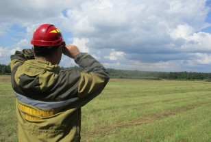 Первый этап проекта «Сохранение лесов» будет проходить в Смоленской области до 2030 года