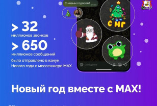 Правительство Смоленской области — о новогодней активности пользователей MAX