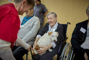 В смоленском доме-интернате прошли сеансы канистерапии в рамках партпроекта «Единой России»