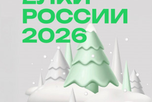 Смоленские ёлки претендуют на звание лучших в стране