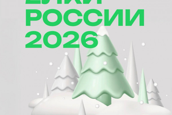 Смоленские ёлки претендуют на звание лучших в стране