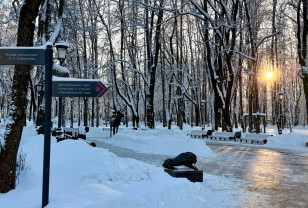 Суббота в Смоленской области обещает быть морозной и туманной