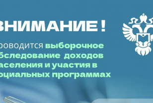 В Смоленской области стартовало выборочное наблюдение доходов населения
