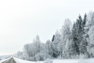 Во вторник на Смоленщине пройдёт кратковременный снег