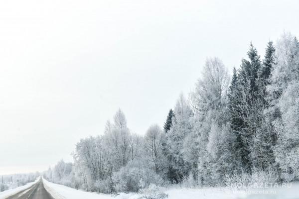 Во вторник на Смоленщине пройдёт кратковременный снег