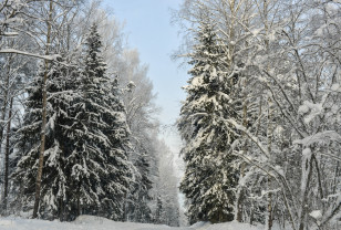 21 января в Смоленской области ожидается переменчивая погода