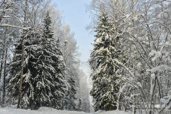 В воскресенье в Смоленской области синоптики прогнозируют 24-градусный мороз