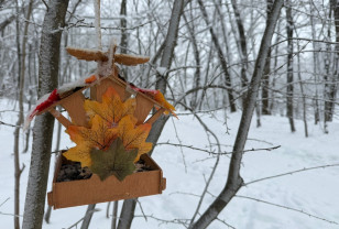Синоптики рассказали о погоде в Смоленской области 22 января