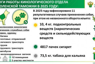 Кинологи Смоленской таможни выявили более 10 кг наркотических веществ в 2025 году