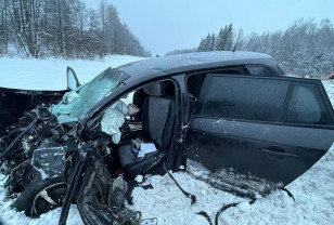 ДТП на трассе под Смоленском: четыре человека пострадали