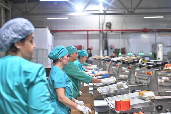 Смоленская птицефабрика «Сметанино» — один из лидеров среди участников федпроекта