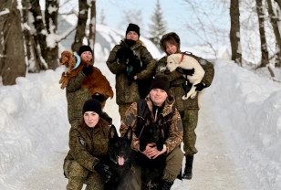 Смоленские кинологи раскрывают секреты