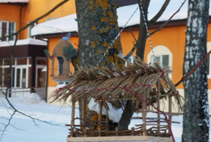 В Смоленске в эколого-биологическом центре появились новые обитатели