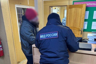 В Смоленской области задержали водителя, сбившего сотрудника таможни