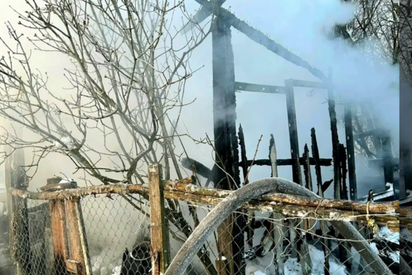 «Погибли 100 голубей и 20 кур». В Смоленском округе горел дощатый птичник