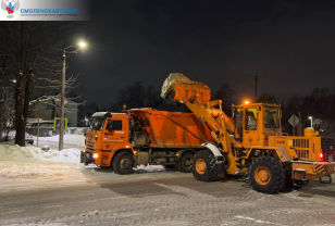 В январе дорожные службы Смоленской области вывезли более 200 тысяч кубометров снега