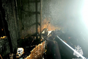 В Смоленской области собака спасла от пожара 77-летнюю хозяйку