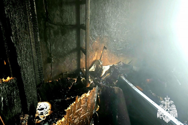 В Смоленской области собака спасла от пожара 77-летнюю хозяйку