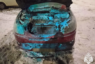 На трассе М-1 в Смоленском округе на ходу загорелся автомобиль