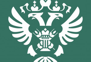 На границе Смоленской области пресекли нелегальный ввоз семян овощных культур