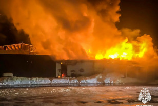 Пожар уничтожил в Гагарине цветочный магазин 