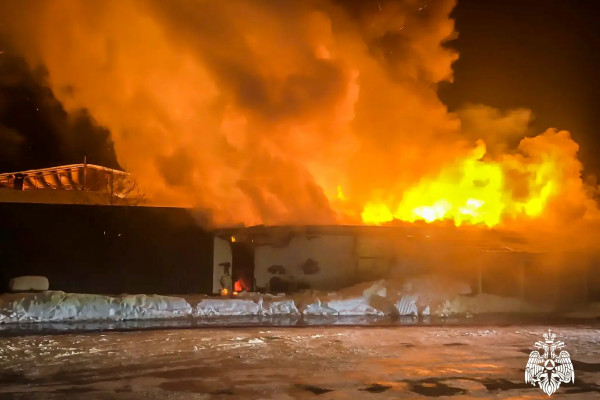 Пожар уничтожил в Гагарине цветочный магазин 