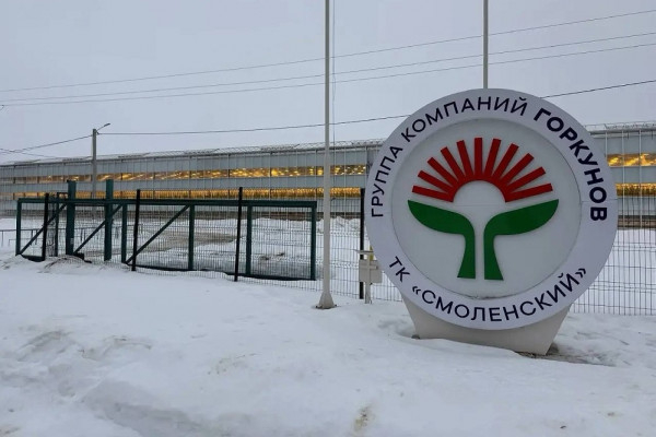 Предприятие «Смоленский» стремится стать одним из ведущих производителей тепличных овощей