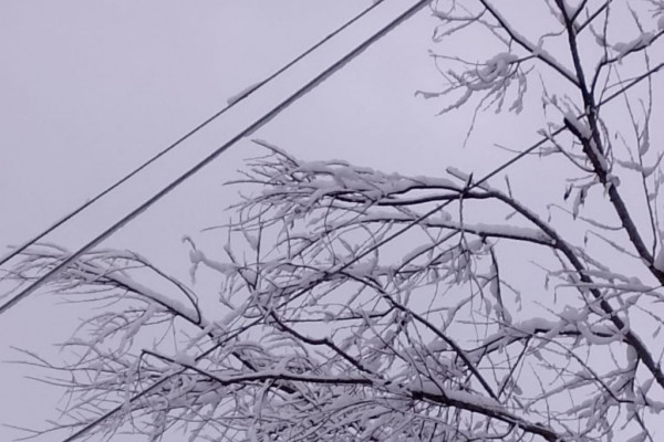 Энергетики «Смоленскэнерго» готовятся к работе в условиях непогоды