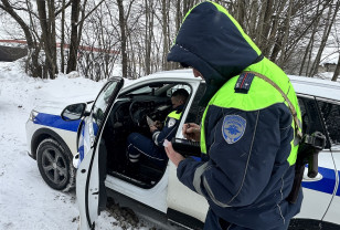 В Смоленске госавтоинспекторы 20 февраля проведут «сплошные проверки» водителей