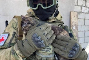 «Знай СВОих, Смоленщина»: о подвиге фельдшера Данилы Козлова