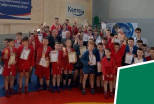 В Сафонове состоялся ежегодный областной турнир по самбо