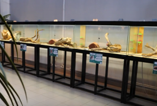 Смоленский эколого-биологический центр отметил 25-летие