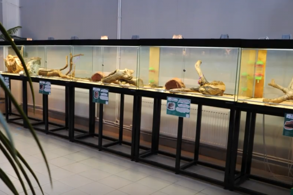 Смоленский эколого-биологический центр отметил 25-летие