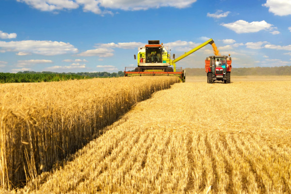 Смолян приглашают на семинар по мерам господдержки аграрного сектора