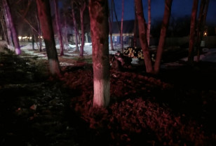 В Смоленской области водитель квадроцикла врезался в дерево и погиб