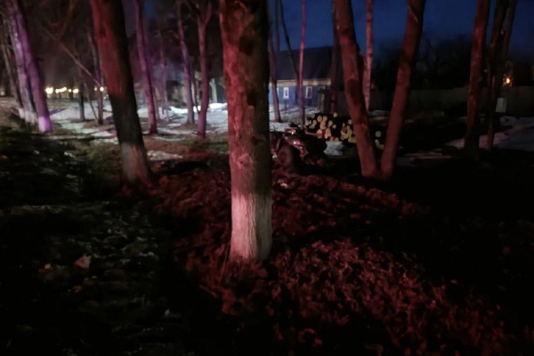 В Смоленской области водитель квадроцикла врезался в дерево и погиб