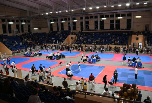 В Смоленске состоялся турнир по тхэквондо «Кубок Дружбы»