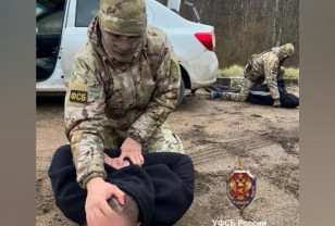 УФСБ выявило схему незаконной миграции в Смоленской области 