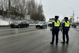 20 марта в Смоленске пройдут «сплошные проверки»