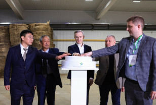 Василий Анохин: Возрождаем льноводство в Смоленской области 