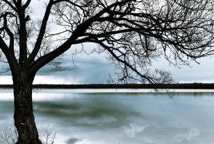 В Смоленской области ожидается переменчивая погода