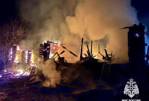 Коты и куры погибли в пожаре в Смоленском округе